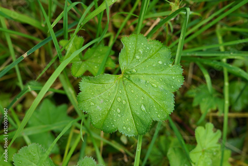 фотографія nature in zakopane