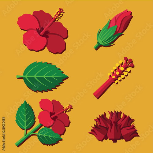 фотографія Vibrant Red Hibiscus Flowers and Leaves Botanical Illustration.