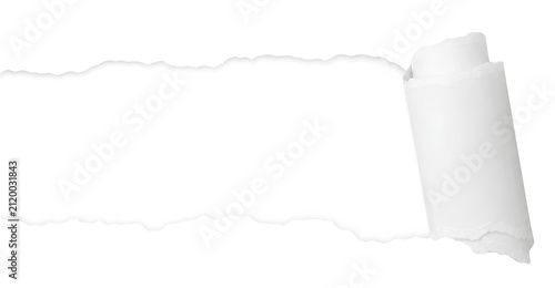 minimalist white torn paper banner with curled edge isolated on transparent background