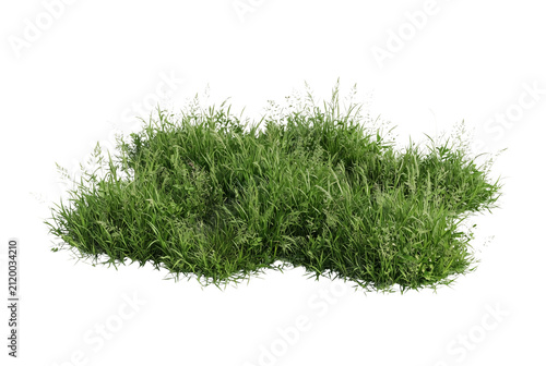 Dense patch of vibrant green wild grass clump featuring realistic lawn turf, botanical weeds, and natural field flora, perfect for landscape architecture cutout designs and nature rendering assets.
