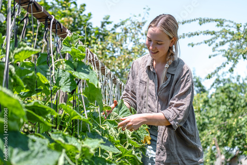 Quadro su tela woman tending cucumber vines in a sunny kitchen garden, showing sustainable gardening, homegrown food, climate-resilient growing and a self-sufficient lifestyle