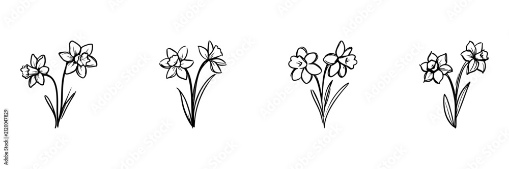 Obraz premium Daffodil Flowers In Hand Drawn Style Set. Botanical Doodle Sketch Collection. Floral Decoration And Design Elements. Isolated Vector Illustration