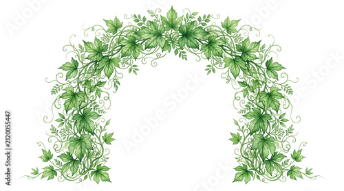 Watercolor green ivy arch with climbing vine leaves, botanical garden foliage frame, elegant floral border for wedding invitations and greeting cards isolated PNG with Transparent Background