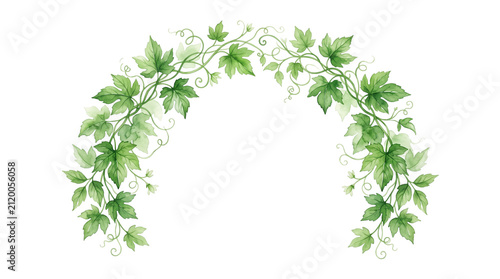 Watercolor green ivy arch, botanical vine frame with lush leaves, elegant garden foliage border for wedding invitations and spring decor isolated PNG with Transparent Background