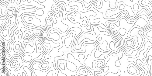 Topographic map contour lines creating an abstract, intricate pattern.