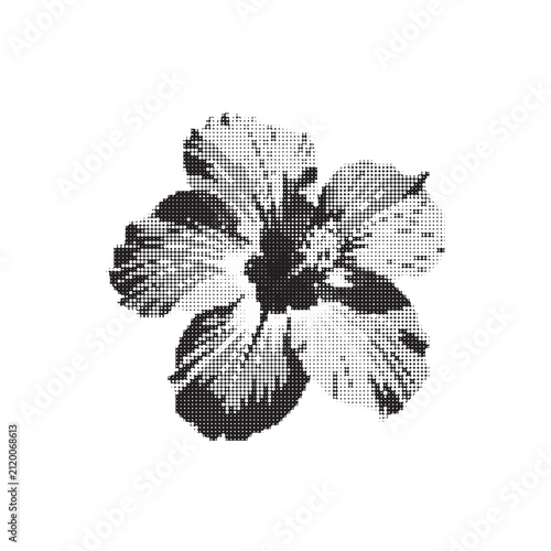 Abstract floral element created from halftone dot matrix