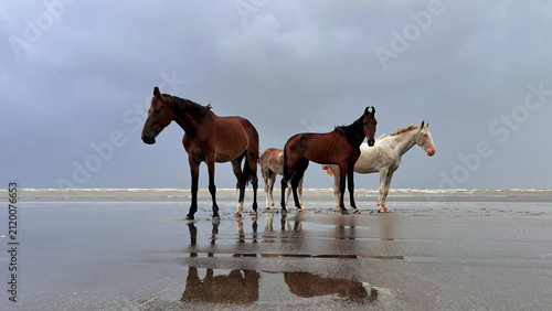 Horses Standing Along Stormy Beach
