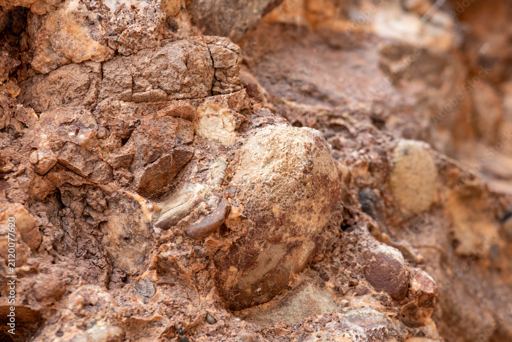 Obraz premium Gaspesie, Quebec, 07 June 2026 : Close-up view of a natural rock formation showing embedded stones and textured surfaces