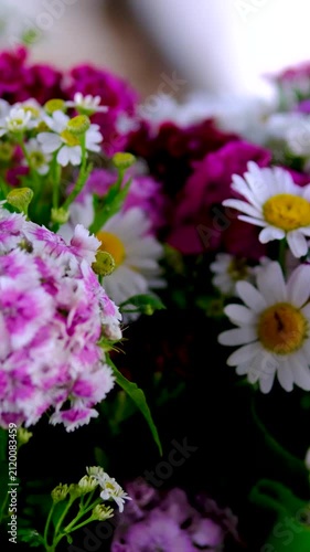 Colorful bouquet of wildflowers with fresh blooming meadow flowers arranged in a beautiful natural floral composition