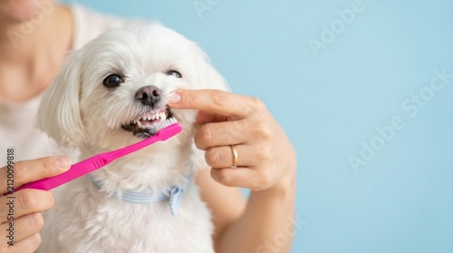A person using a pink toothbrush to clean a small dog's teeth highlighting the importance of pet dental hygiene and care