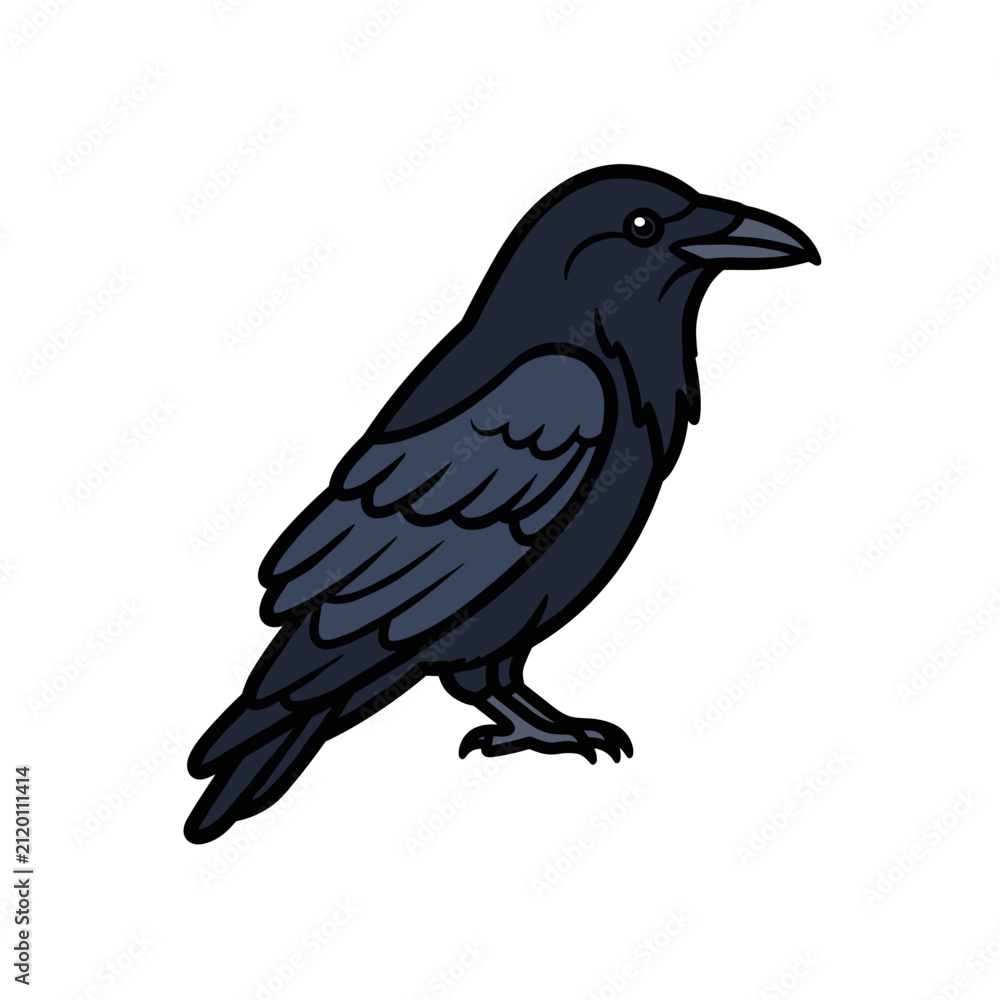 Fototapeta premium A detailed illustration of a black raven bird perched and looking to the side with its dark feathers clearly defined