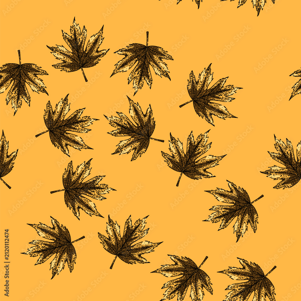 Fototapeta premium pattern leaf hand drawn. flag red, fall foliage, ground yellow maple leaf vector sketch illustration