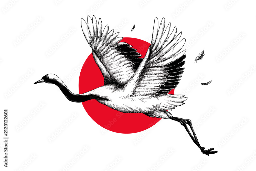 Naklejka premium Japanese crane, black & white illustration