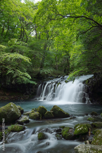 深緑に流れる川と滝
