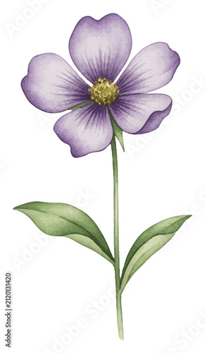 Elegant purple watercolor flower with green leaves for spring wedding invitation botanical art