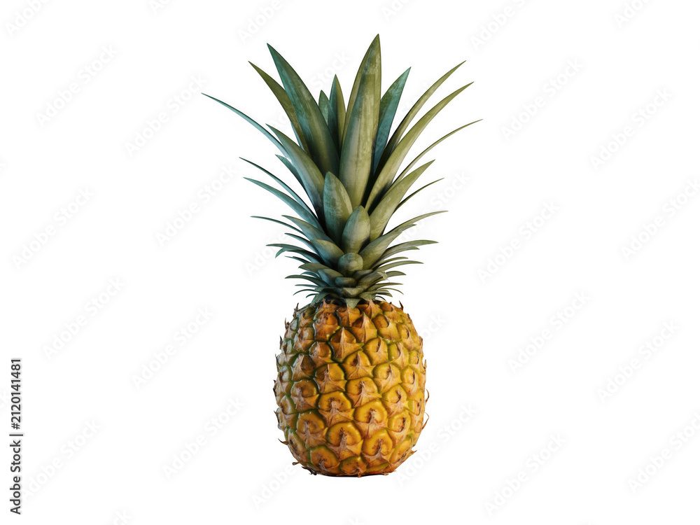 Fototapeta premium A single ripe pineapple standing upright isolated against a solid black background