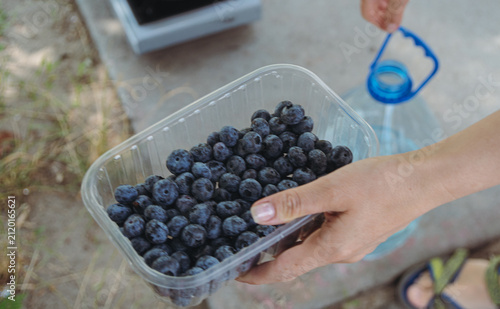 Konstfotografi Woman hands holding a plastic container filled with fresh blueberries outdoors near a water bottle