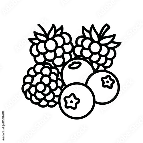 Blackberries and blueberries fruit illustration.
