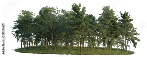 Panel kuchenny z motywem Forest tree line, Forest Edge, Backdrop cutout, isolate transparent background, Dense cluster of lush green trees with vibrant foliage on a grassy mound – perfect for nature backgrounds.