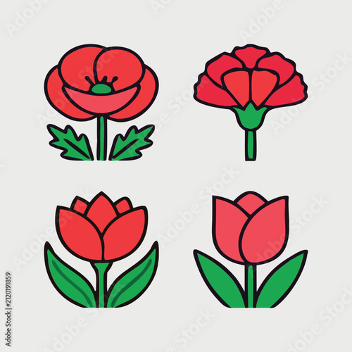 Red Poppy Botanical Illustration Featuring Vibrant Bloom and Wildflower Garden Floral Beauty
