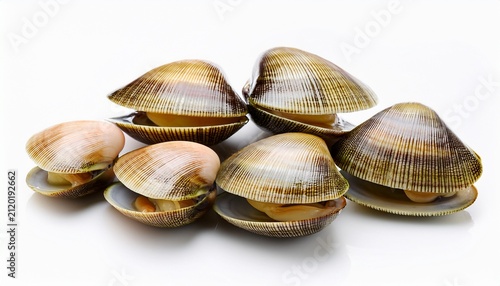 Razor Clams Isolated On White Background Fresh Seafood