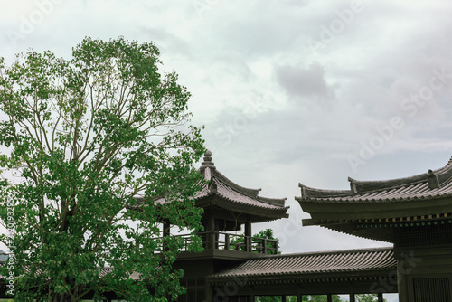 View From Tsz Shan Monastery