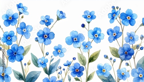 Blue watercolor forget-me-nots on white background.