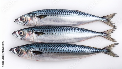 Three Large Sardine Fish On A White Background