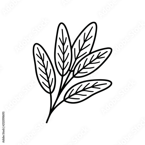 Black and white leaf illustration.