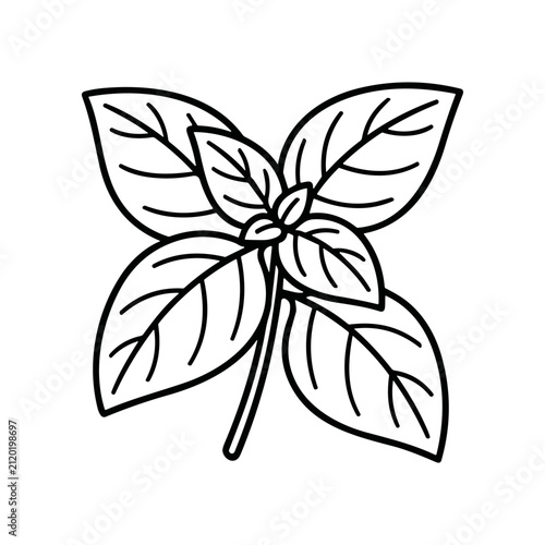 Detailed illustration of green leaves.