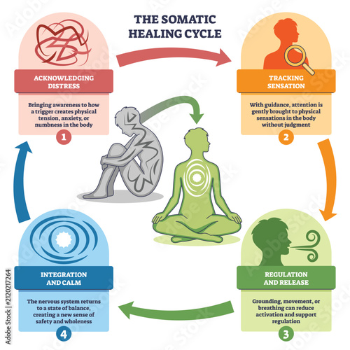 Somatic healing cycle outline shows a brief flow from distress to calm with arrows, seated figures, and step labels, illustrating body-based regulation and integration. Outline diagram