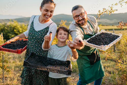 Konstfotografi Family harvesting there sweet blackberries