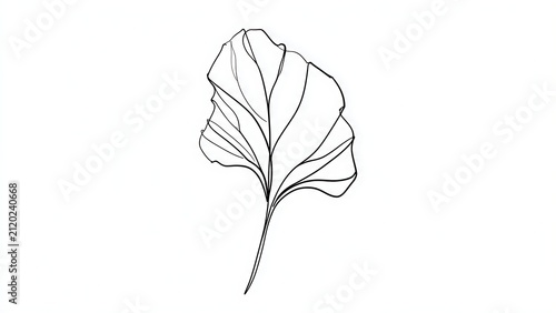 Elegant ginkgo leaf illustration on white background.