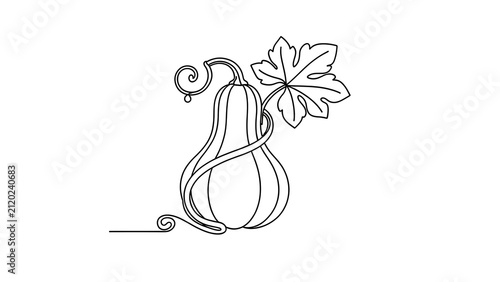 Elegant gourd and leaf line art on white background.