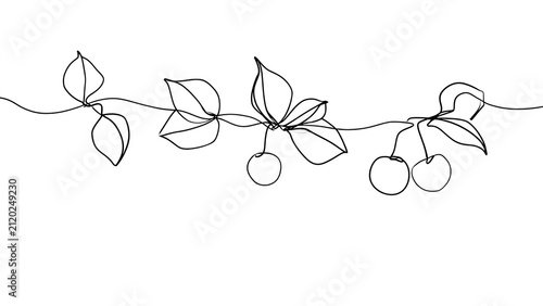 Hand drawn cherry branch illustration white background.