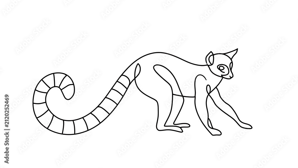 Fototapeta premium Line art lemur illustration white background.