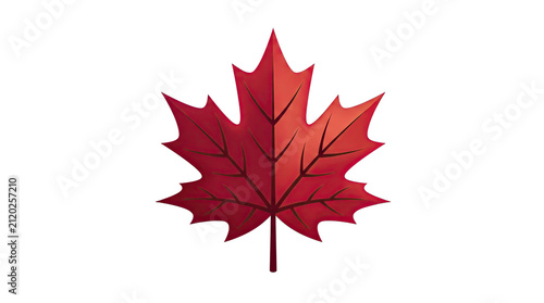 Red maple leaf illustration isolated on a clean transparent background 