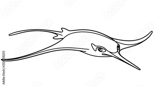 Swordfish line art illustration white background.