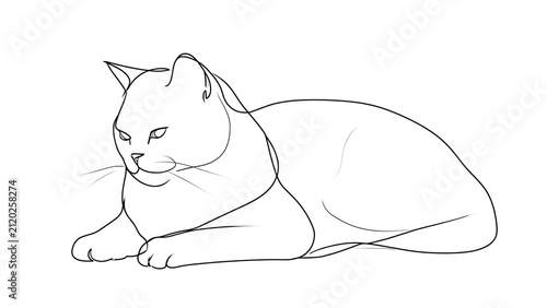 Simple line drawing of a cat on white background.