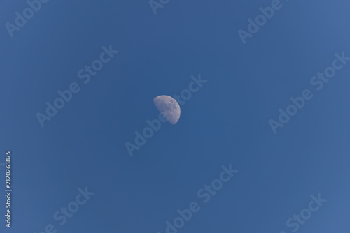 Detailed view of a half moon centered in a deep blue early night sky during dusk