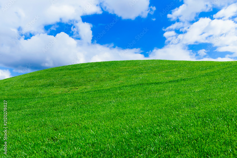 Fototapeta premium Green grassland under blue sky with white fluffy clouds