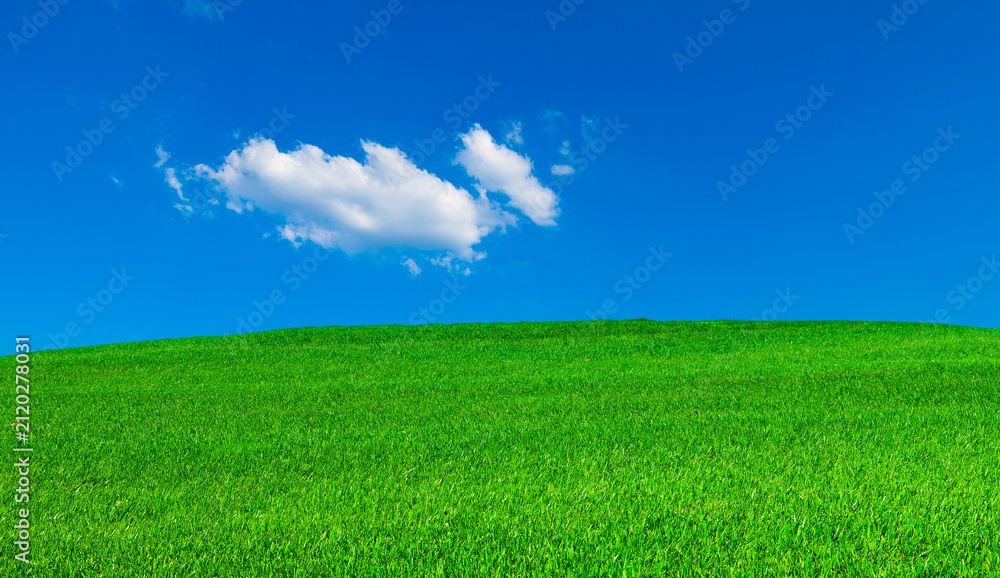 Obraz premium Green grassland under blue sky with white fluffy clouds