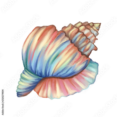 Watercolor Colorful Seashell Sticker