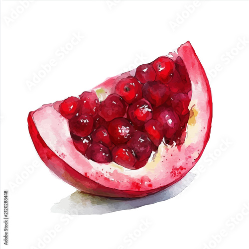 Cranberry Slice, high quality watercolor illustration with transparent textures, isolated on a white background.