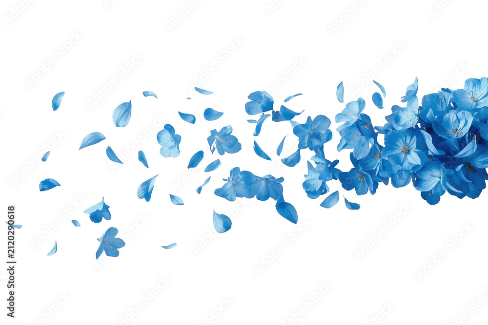 Obraz premium Dense horizontal wave of blue flower petals