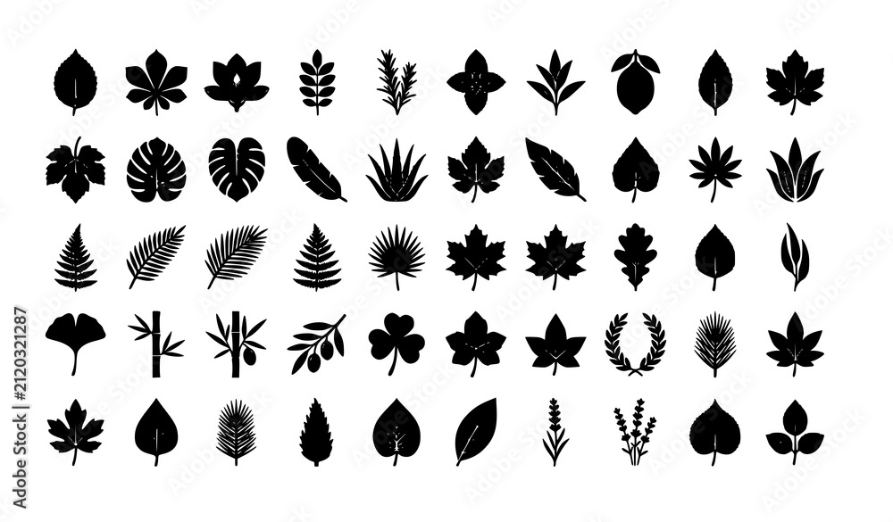 Obraz premium Leaf Silhouette Icon Vector Set with Maple, Palm, Fern and Wreath Shapes Black Botanical Illustration Collection