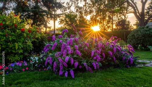 Garden blooms at sunset.