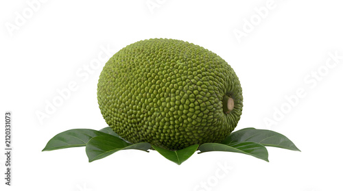A whole, unripe green jackfruit rests on a bed of fresh green leaves against a white background.