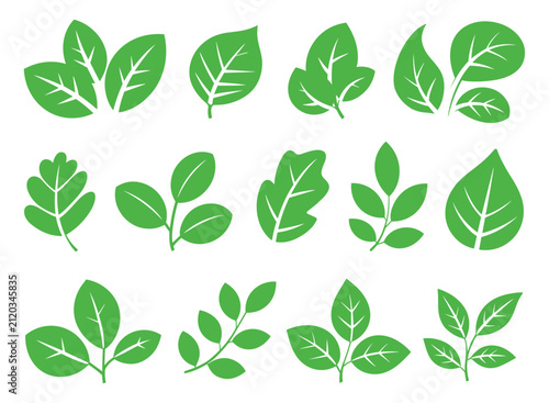 Green Leaves Collection: A set of stylized green leaf icons and illustrations. Nature graphic, plant illustration, eco-friendly design element.