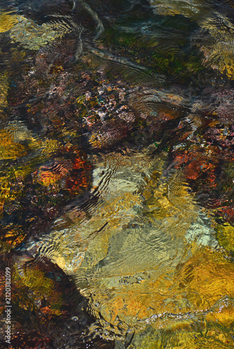 An abstract pattern of purplish-beige hues created by moving water against the colourful seabed.
